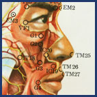 Diagrams showing acupuncture areas of the human body